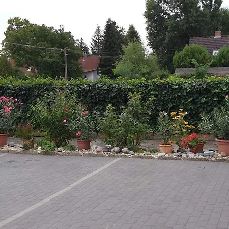 Pipacs Balatonboglár